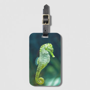 Étiquette À Bagage Un bel hippocampe de Knysna