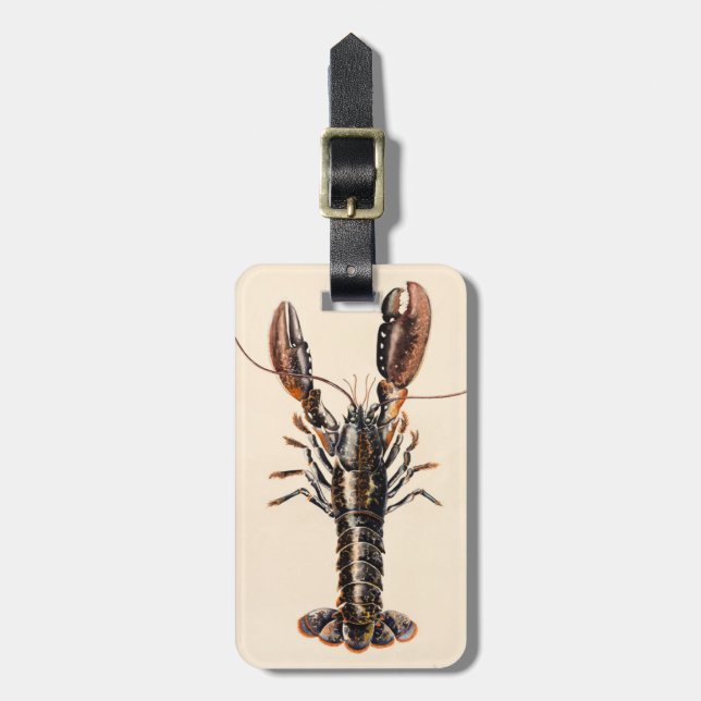 Étiquette À Bagage Un homard de Solva (Devant Vertical)