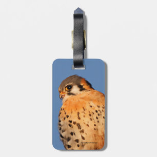 Étiquette À Bagage Un Kestrel Américain sur un fil