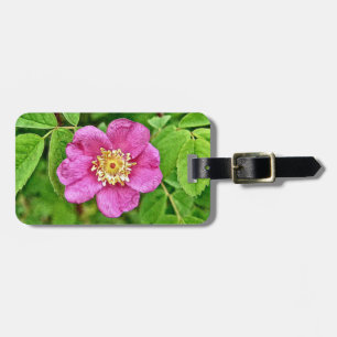 Étiquette À Bagage Un Rose sauvage