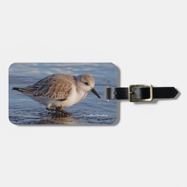Étiquette À Bagage Un Sanderling (Devant horizontal)