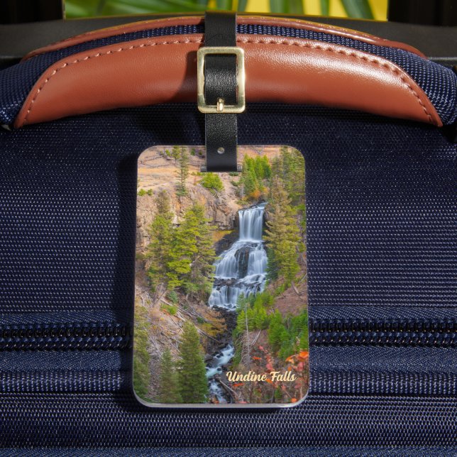 Étiquette À Bagage Undine Falls Lava Creek Parc national Yellowstone (Insitu Rectoal 2)