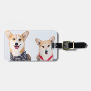 Étiquette À Bagage Une paire de Corgis se reposant sur un banc