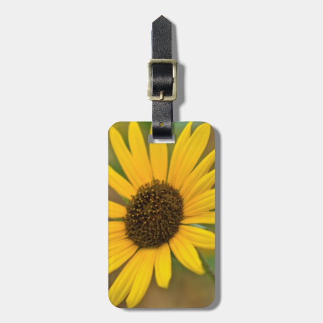 Étiquette À Bagage USA, Kansas. Tournesol sauvage (Devant Vertical)