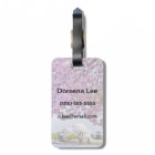 USA, Washington DC, Cherry tree en fleurs