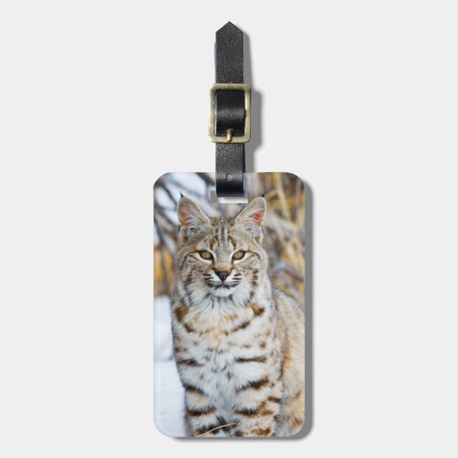 Étiquette À Bagage USA, Wyoming, Portrait de Bobcat (Devant Vertical)