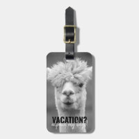 Vacances Alpaca Mon Sacs Noir