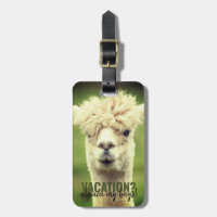 Vacances Alpaca Mon Sacs Vert