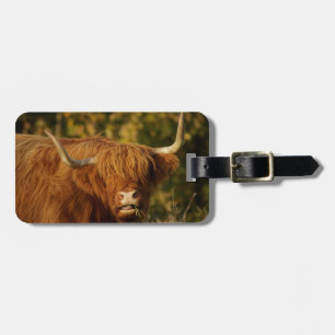 Étiquette À Bagage Vache écossaise des Highlands