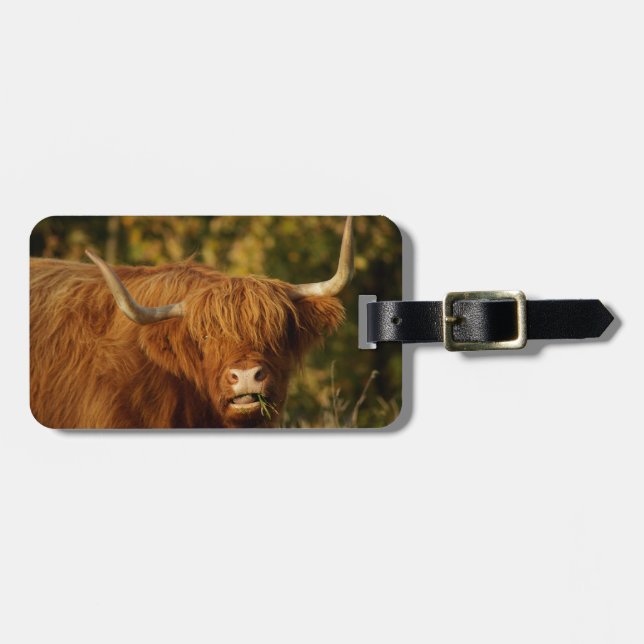Étiquette À Bagage Vache écossaise des Highlands (Devant horizontal)