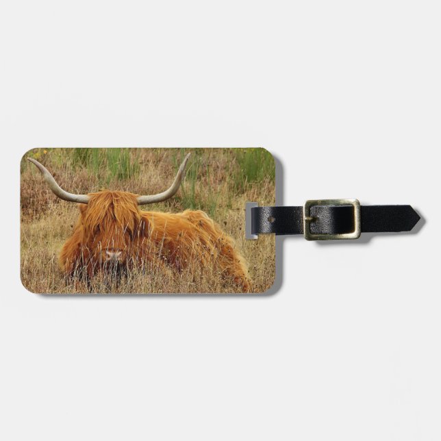 Étiquette À Bagage Vache écossaise des Highlands dans l'herbe (Devant horizontal)
