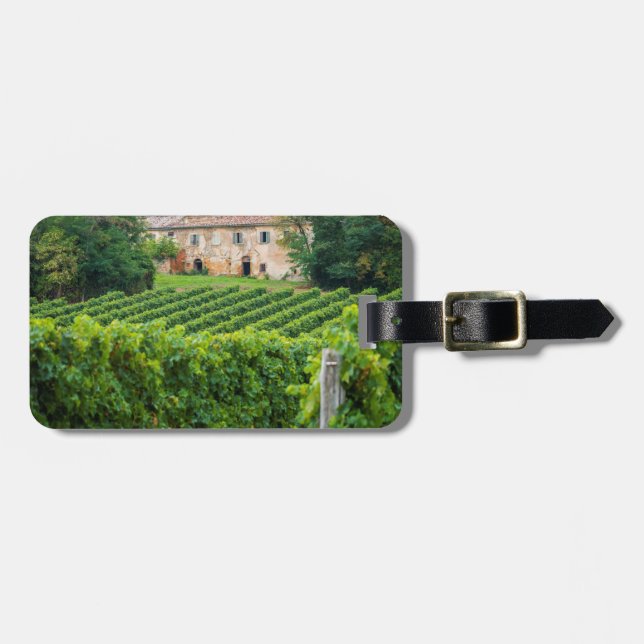 Étiquette À Bagage Vieux vignoble toscan et villa (Devant horizontal)