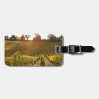 Étiquette À Bagage Vignoble italien en Toscane