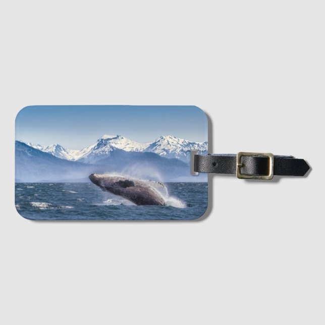 Étiquette À Bagage Violation de la baleine de bosse en Alaska (Devant Horizontal)