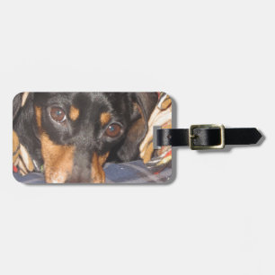 Étiquette À Bagage Visage de chien de Daschund Weener
