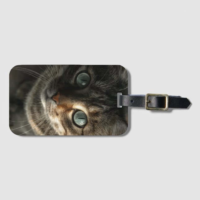Étiquette À Bagage Whimsical Gray Cat Portrait Wall Art (Devant Horizontal)
