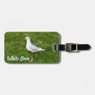 Étiquette À Bagage White Dove for bird and Pigeon lover cadeau