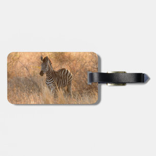Étiquette À Bagage Zebra foal in morning light