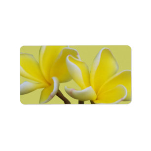 Étiquette Adresse commerciale de Plumeria/étiquettes