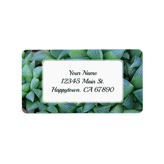 Étiquette Adresse de Plante Succulent de Hworth Vert Personn (Devant)
