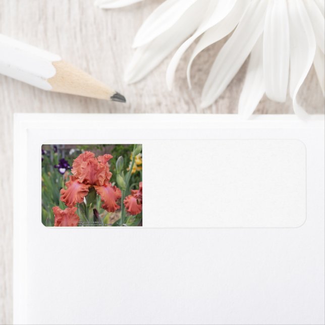 Étiquette Adresse de retour (En situation)