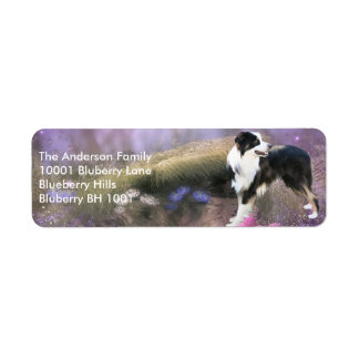 Étiquette Adresse de retour Bordure Collie