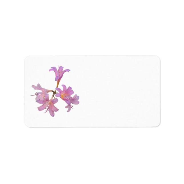 Étiquette Adresse de retour Lily Flowers (Devant)