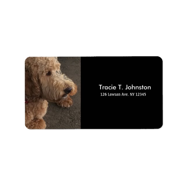 Étiquette Airedale Terrier Nouvelle adresse (Devant)