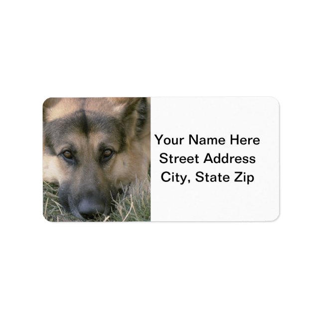 Étiquette Allemand Shepard (Devant)