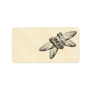 Étiquette Apothécaire