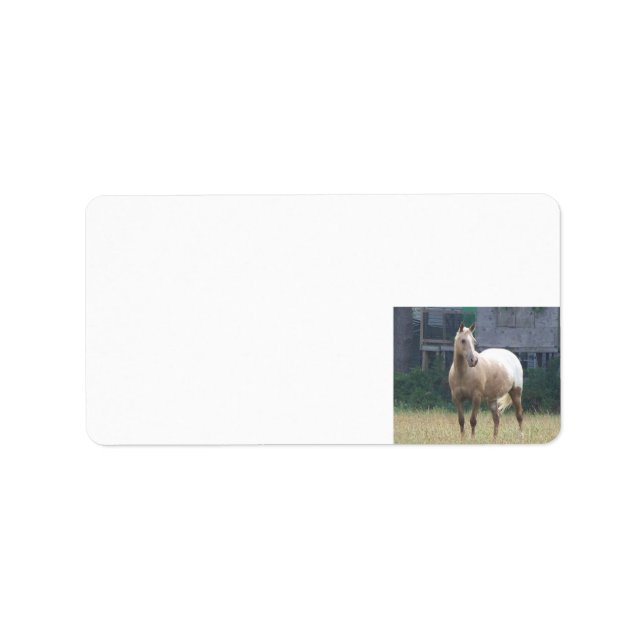 Étiquette Appaloosa (Devant)