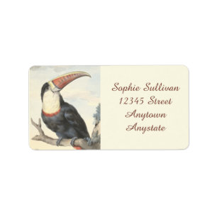 Étiquette Aquarelle américaine de cru de toucan de