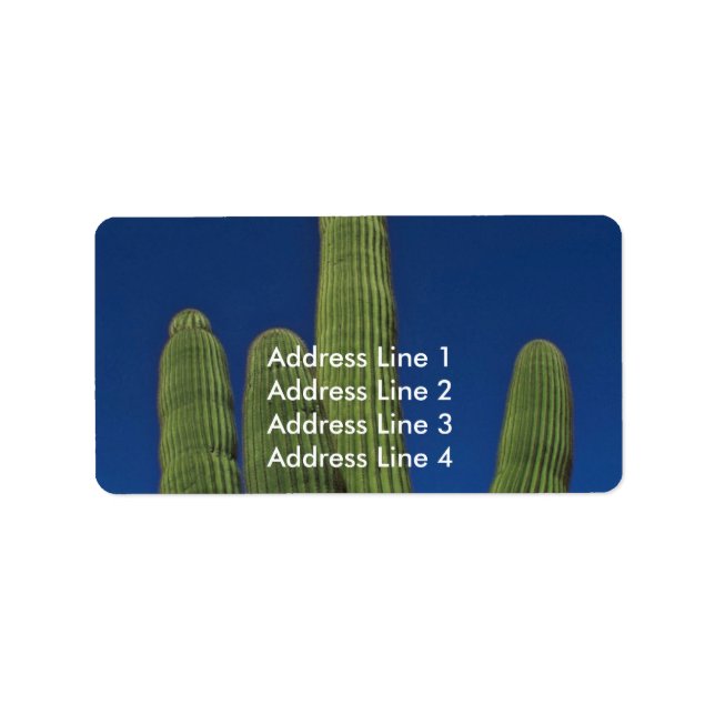 Étiquette Armoiries D'Un Saguaro (Devant)