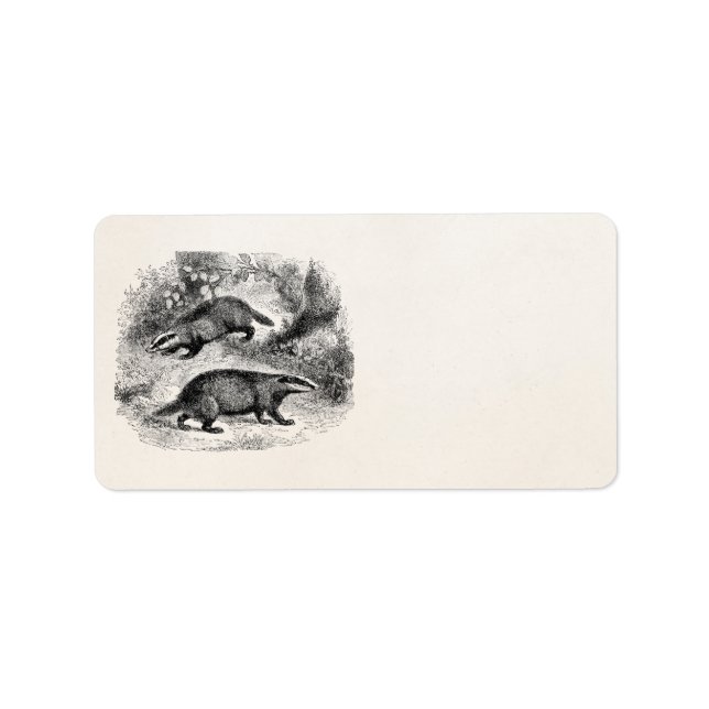 Étiquette Badger vintage 1800s Badgers Illustration (Devant)