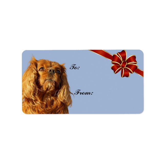 Étiquette Balise cadeau de Noël Cavalier King Charles Spanie (Devant)