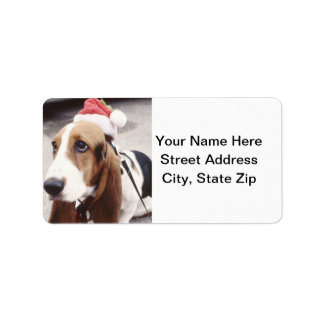 Étiquette Basset Hound à Santa Hat