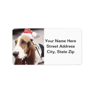 Étiquette Basset Hound dans le casquette de Père Noël