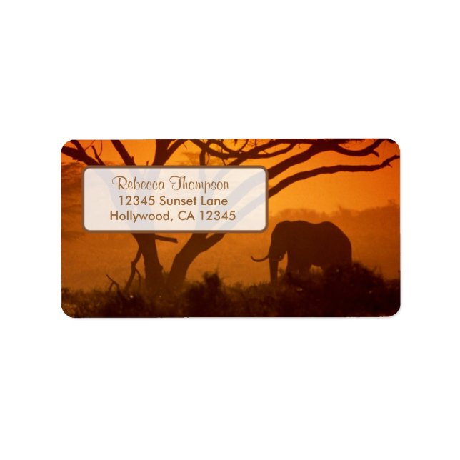 Étiquette Belle silhouette d'éléphant et coucher de soleil (Devant)