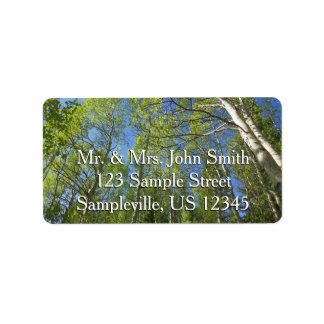 Étiquette Birch Trees d'été à Rocky Mountain