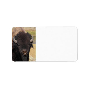 Étiquette bison drôle