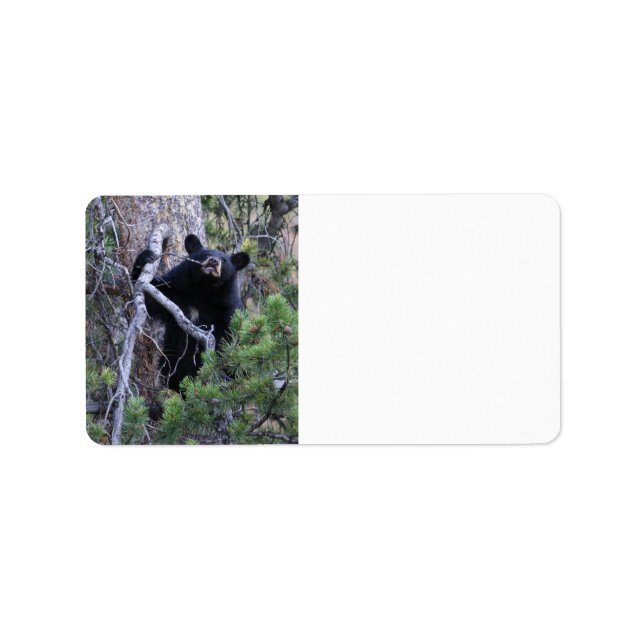 Étiquette black beb (Devant)