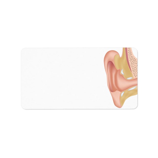 Étiquette blanc de l'anatomie de l'oreille humaine (Devant)
