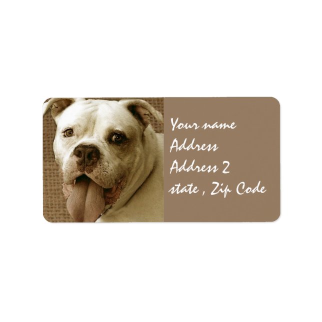 Étiquette Bouledogue américain (Devant)