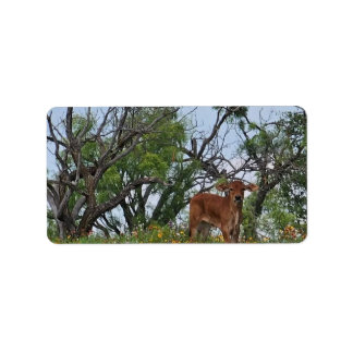 Étiquette Brahman Calf en Fleur sauvage