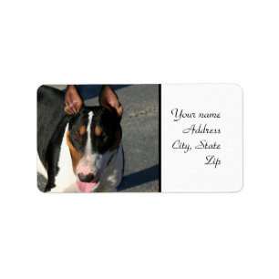 Étiquette Bull-terrier