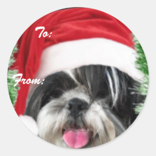 Étiquette cadeau Christmas Shih Tzu