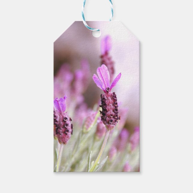 Étiquette cadeau Lavender (Devant)