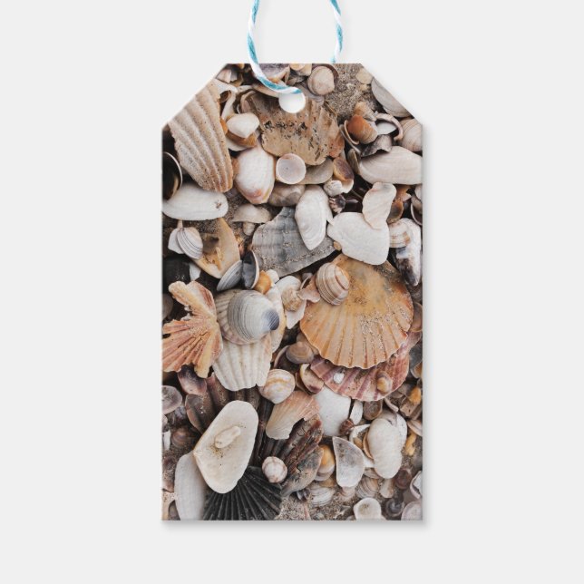 étiquette cadeau Sea shells (Devant)