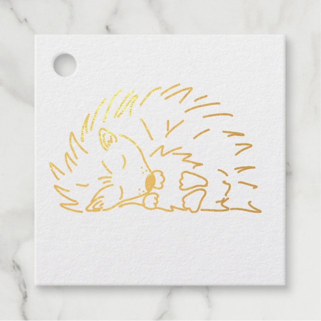 Étiquette-cadeau Sleeping Hedgehog (Devant)