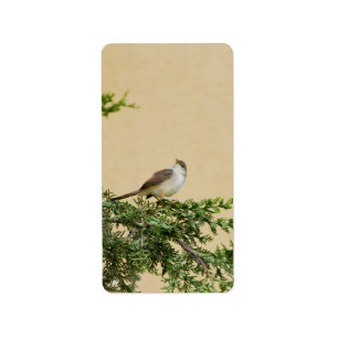 Étiquette Carte postale Sparrow